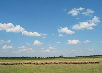Criva de Sus – atmosferă pașnică rurală