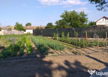 Olteștii de Jos – o destinație rurală pitorească