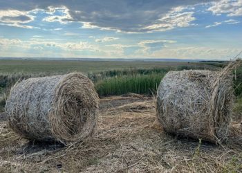 Farcașu de Jos – un sat cu tradiție