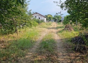 Mihăilești-Popești – o economie agricolă