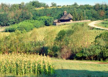 Mierlicești – o frumusețe rurală în linii simple