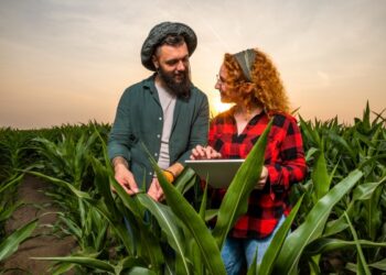 Colibasi judetul Olt