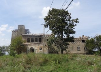 Curțișoara – un colț de rai rural