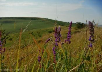 Enoșești – frumusețe naturală și moștenire culturală