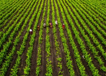 Studinita judetul Olt