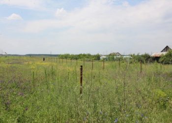 Proaspeți – tradiție și istorie