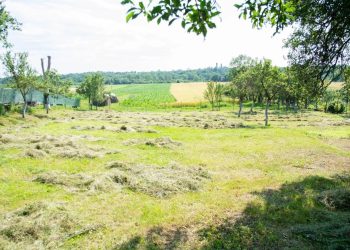 Vârtopu – un cadru rural și pitoresc