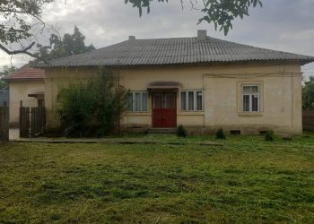 Comani – locul de naștere al Ileanei Constantinescu