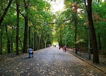 Bircii – sat mic, comunitate mare