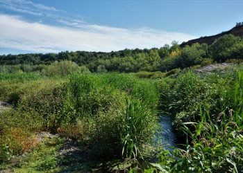 Bechet – atmosferă liniștită rurală