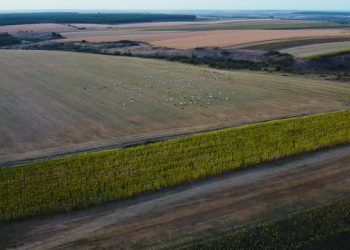 Mogoșești – istorie și tradiții puternice